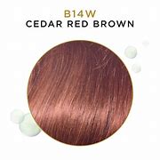 Clairol Beautiful Collection B14W Cedar Red Brown