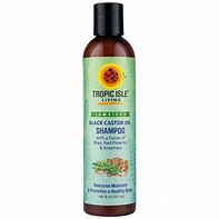 Tropic Isle Black Castor Oil Shampoo
