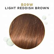 Load image into Gallery viewer, Clairol Beautiful Collection B09W Light Reddish Brown
