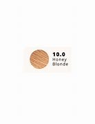 Load image into Gallery viewer, Crème of Nature Exotic Shine Color with Argan Oil  #10.0Honey Blonde
