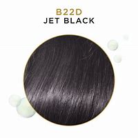 Clairol Beautiful Collection B22D Jet Black